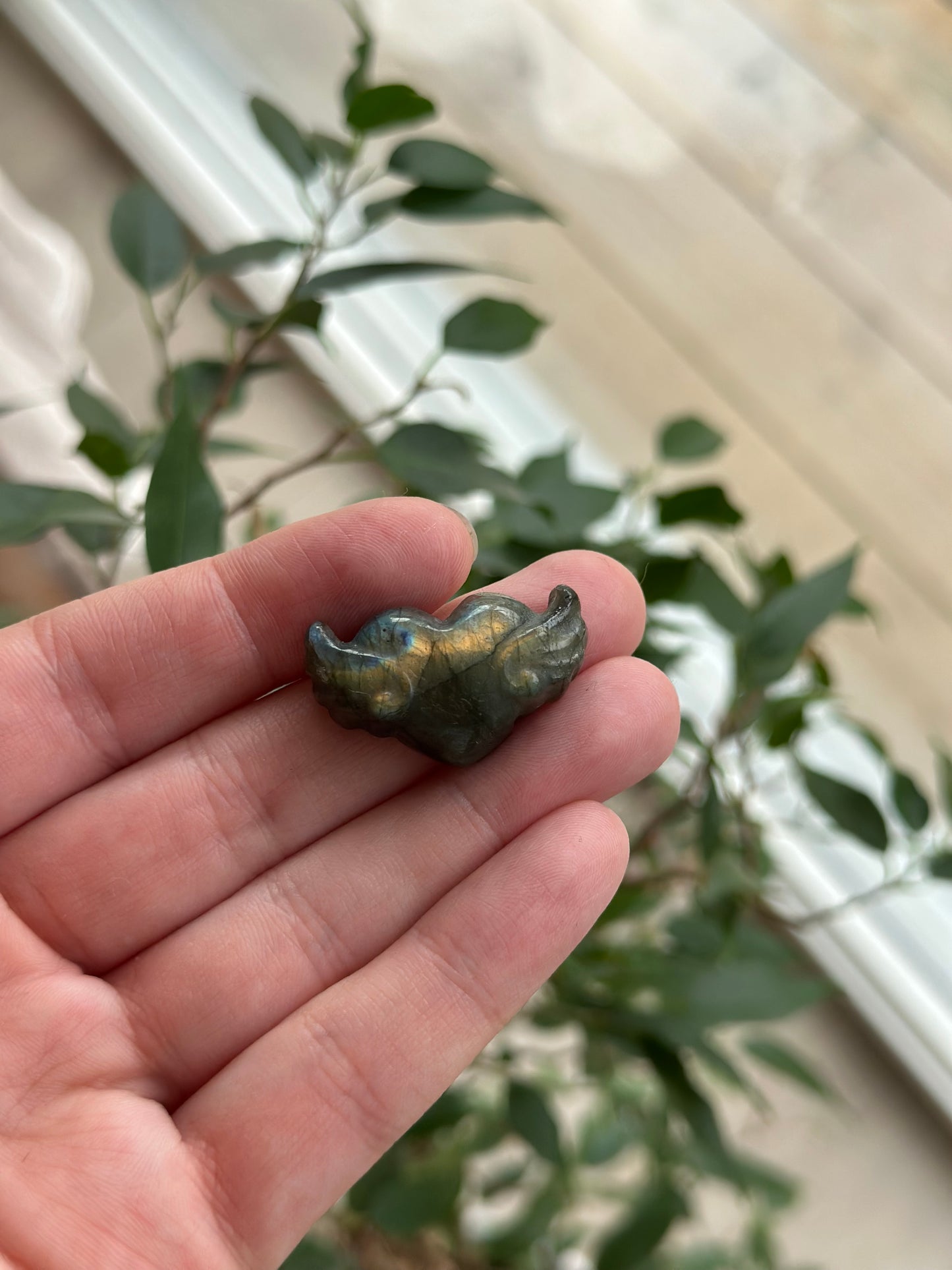 Labradoritt hjerte med vinger