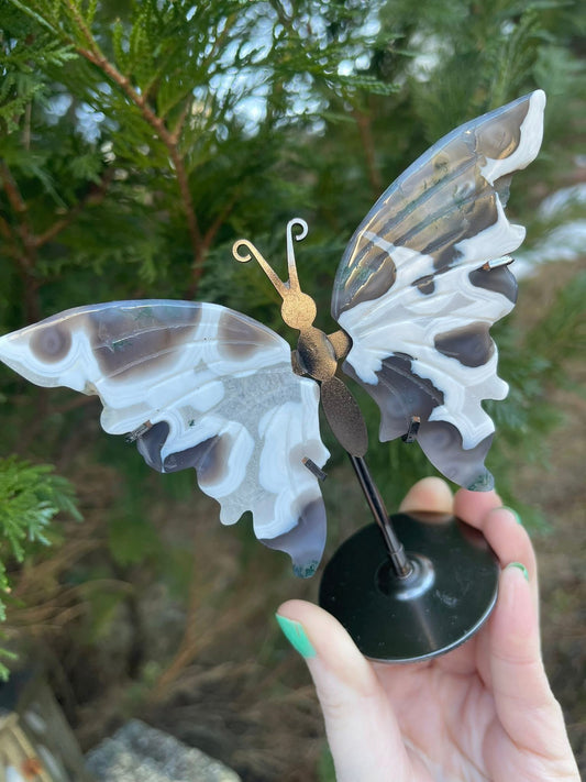 Nydelig moseagat sommerfugl på stativ