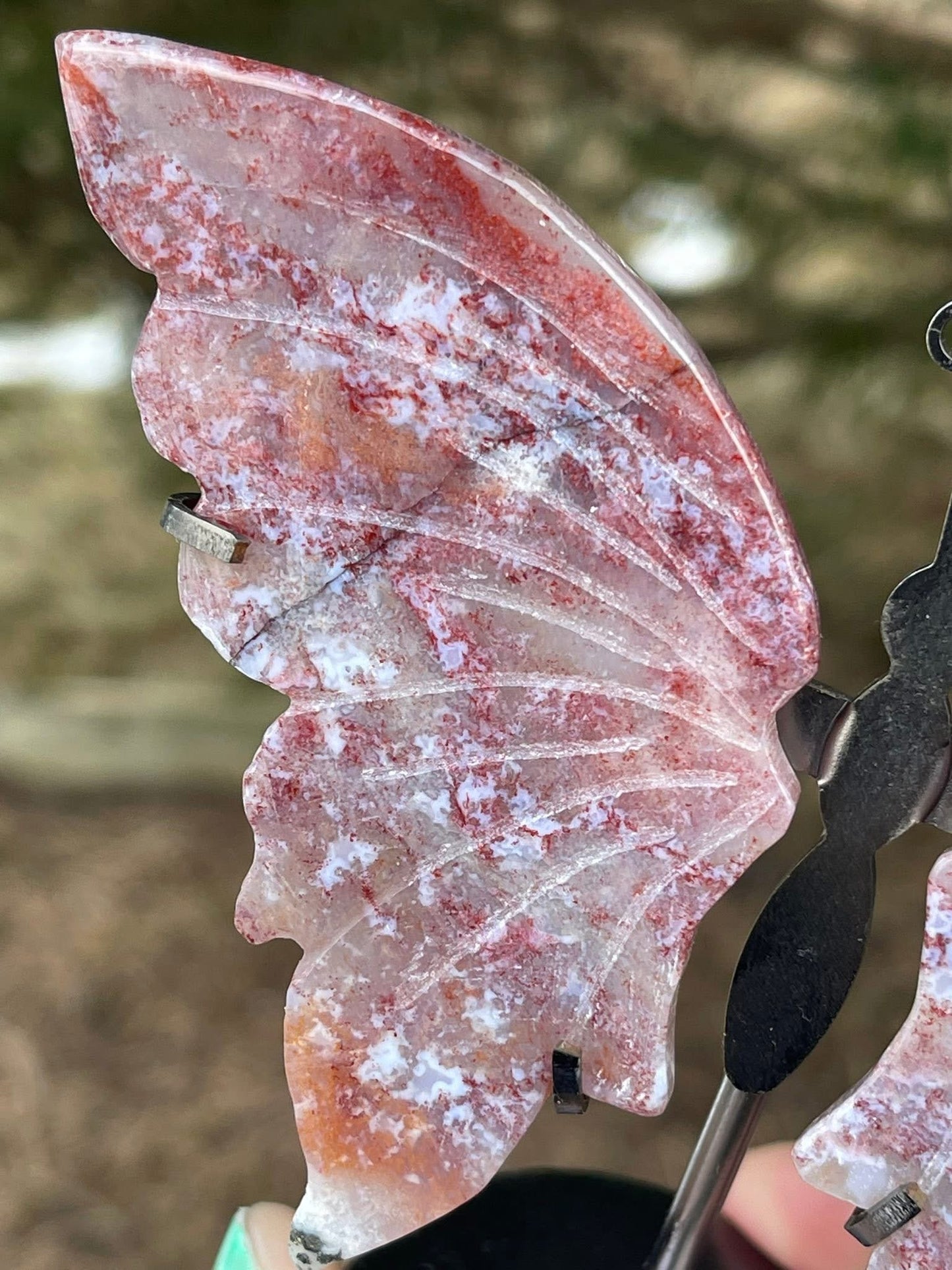 Sommerfugl Ocean Jasper / Havjaspis på stativ