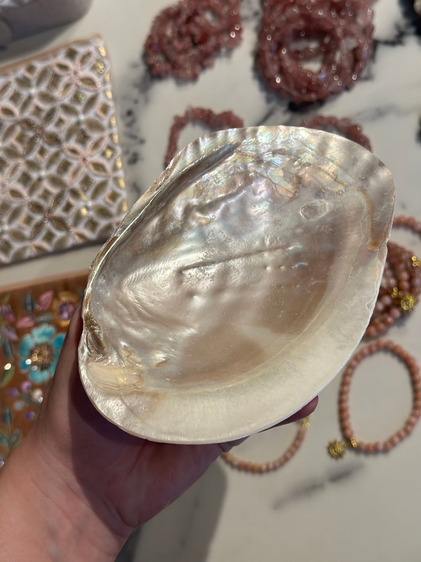 Mother of Pearl shell / skjell L