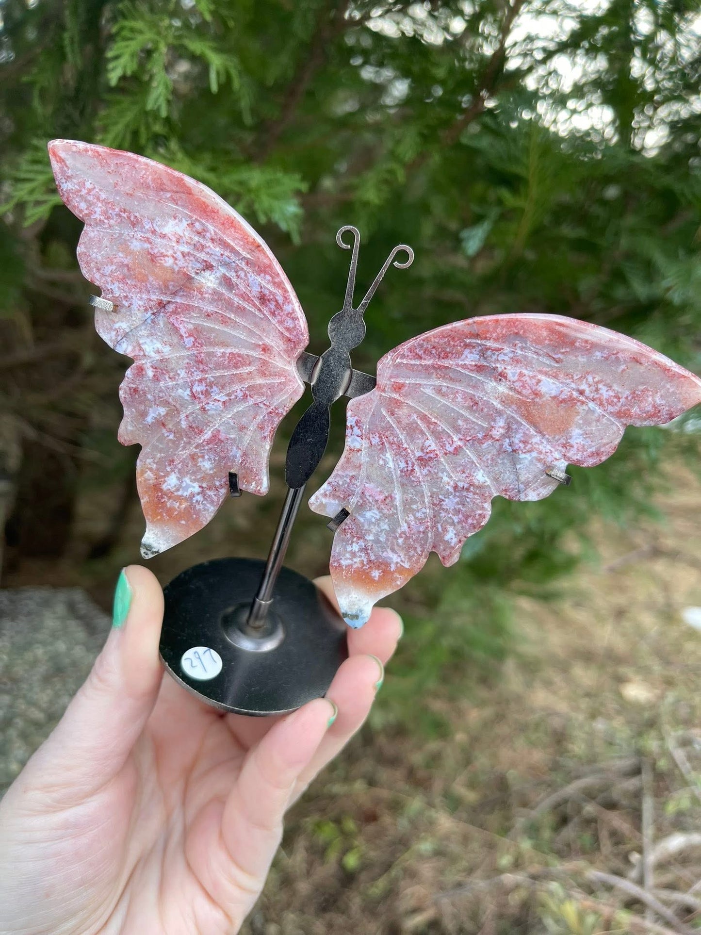 Sommerfugl Ocean Jasper / Havjaspis på stativ