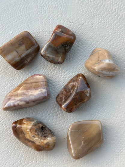 Forsteinet tre tromlet stein L