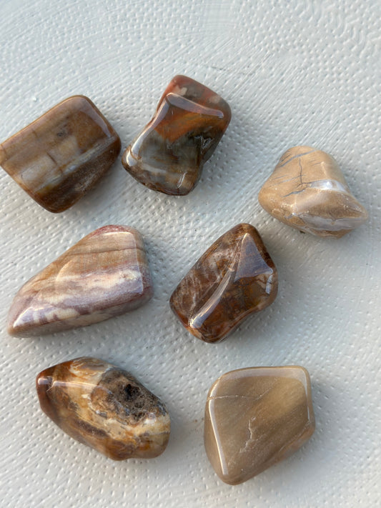 Forsteinet tre tromlet stein L