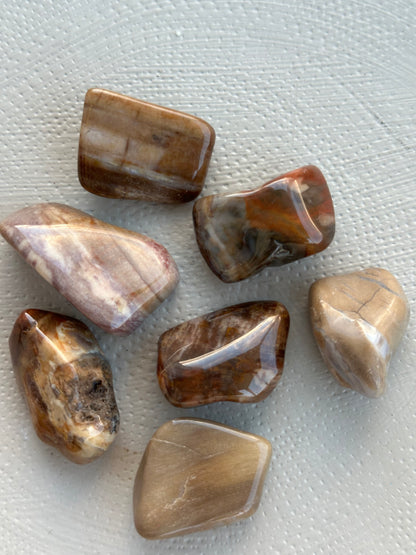 Forsteinet tre tromlet stein L