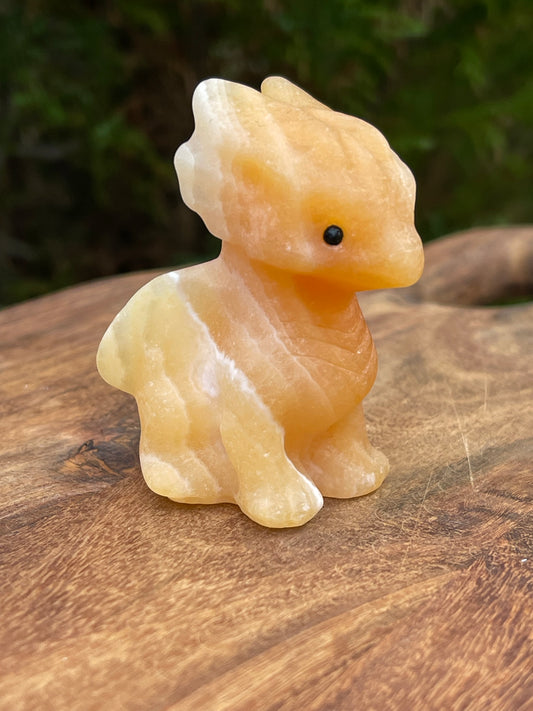 Drage orange kalsitt