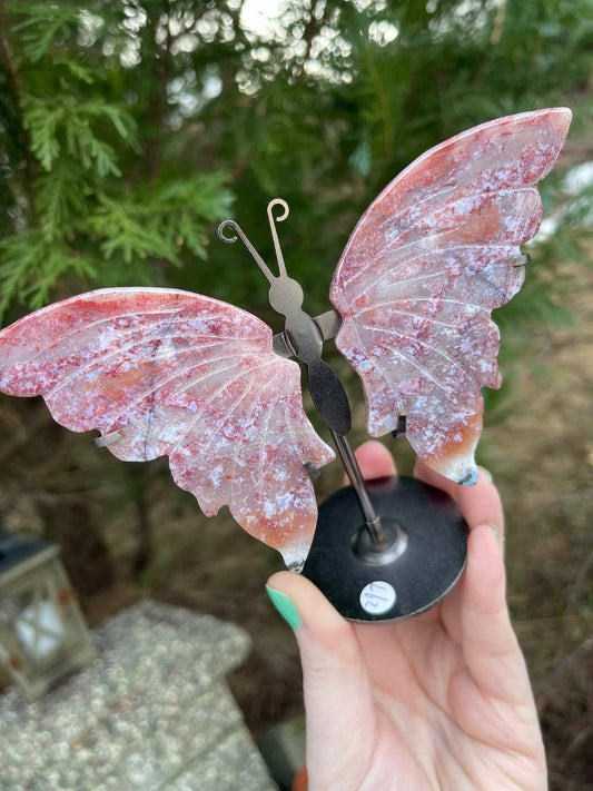 Sommerfugl Ocean Jasper / Havjaspis på stativ