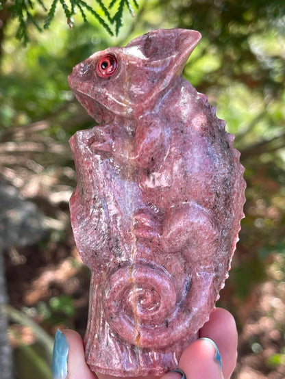 Kameleon Rhodonitt