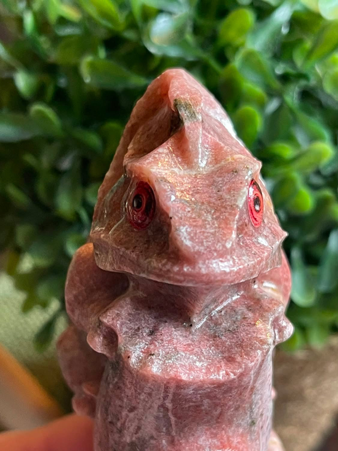 Kameleon Rhodonitt