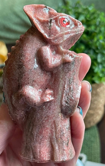 Kameleon Rhodonitt