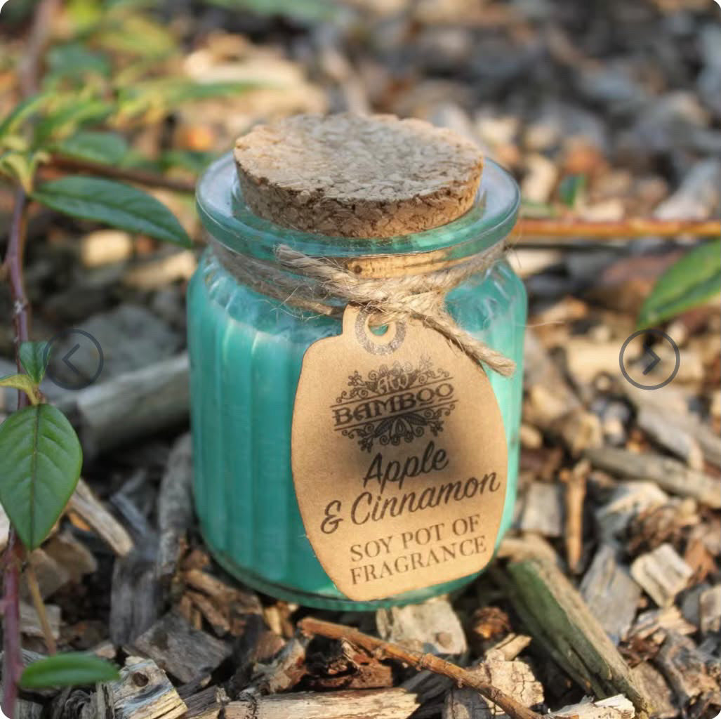 Apple & Cinnamon Soy Pot Duftlys i Glass – Lun, Krydret og Hjemmekoselig